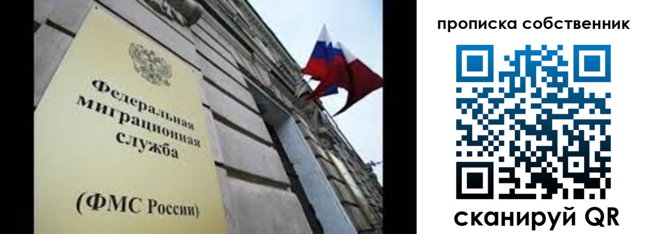 прописка гарантия в Бронницах